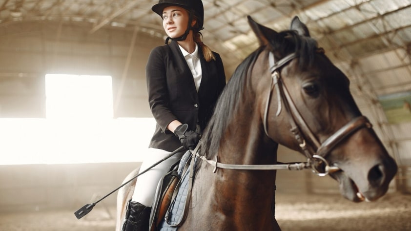 Полное руководство по камерам для съёмки верховой езды: запечатлейте каждый момент вашего конного приключения